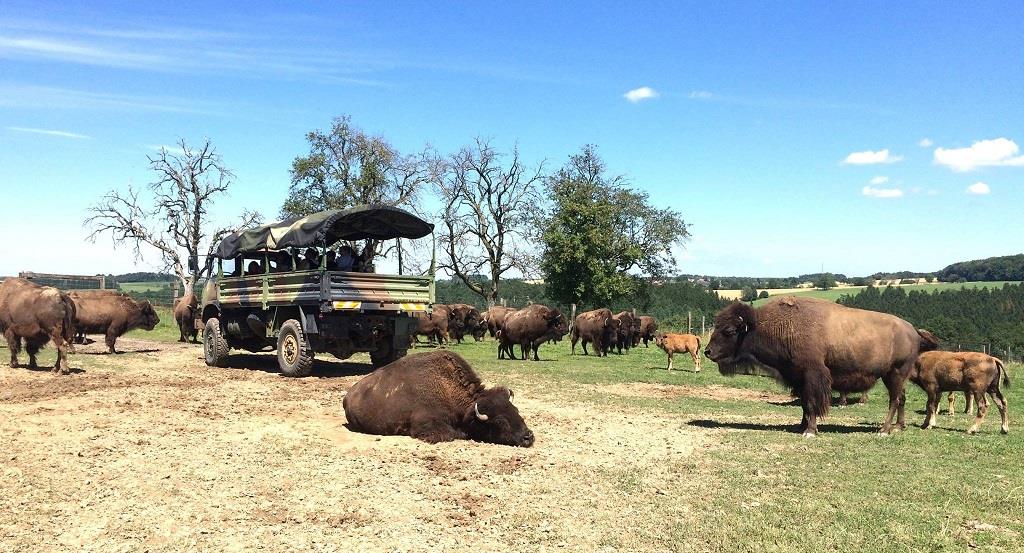 Gte-du-ranch-des-bisons-057_2