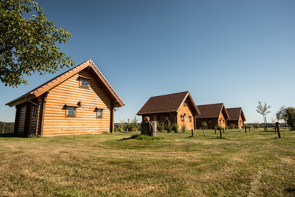 GÎTE DU RANCH DES BISONS 056